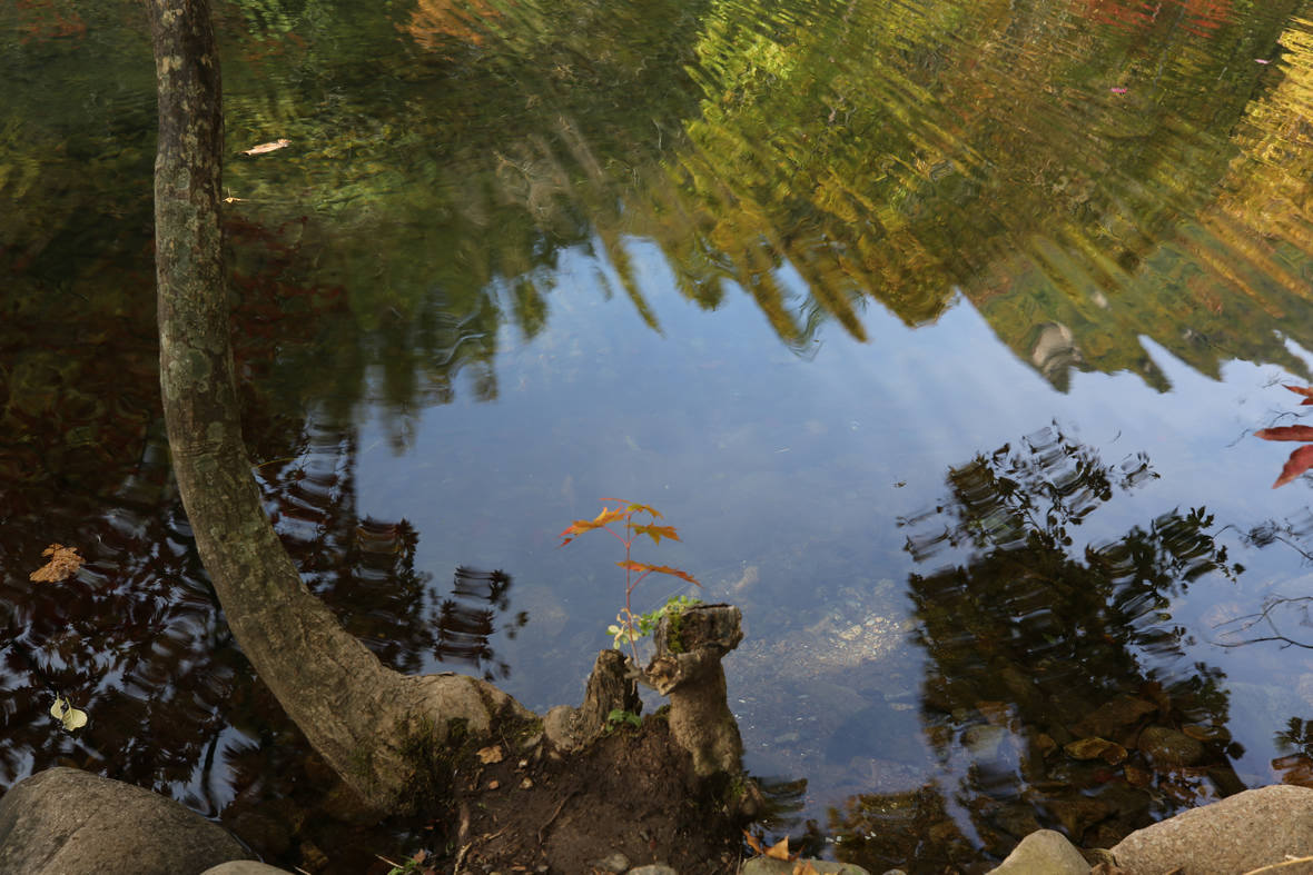 ˮеӰf9s1/2035mmiso100ģʽAV