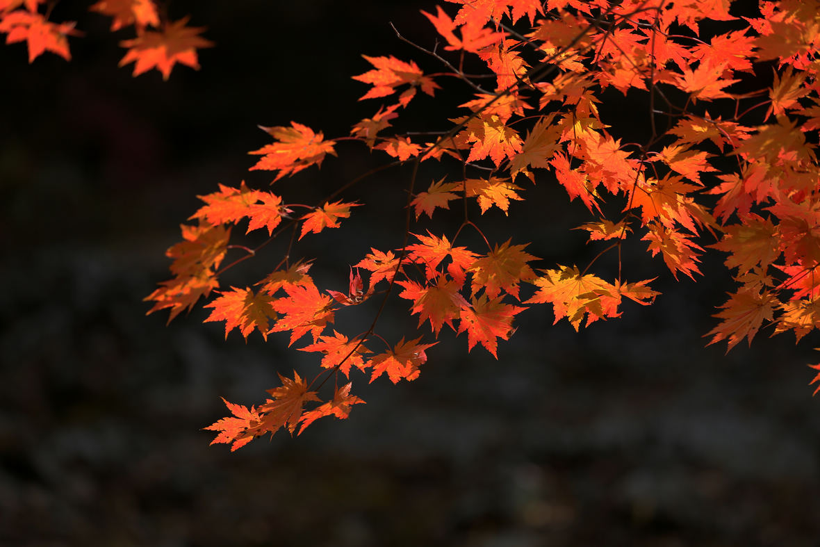 ʯҶF2.8S1/1ӷ250ISO100125mmģʽAV