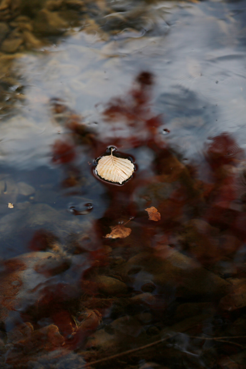 ˮеӰF3.5S1/2500ISO100160mmģʽAV