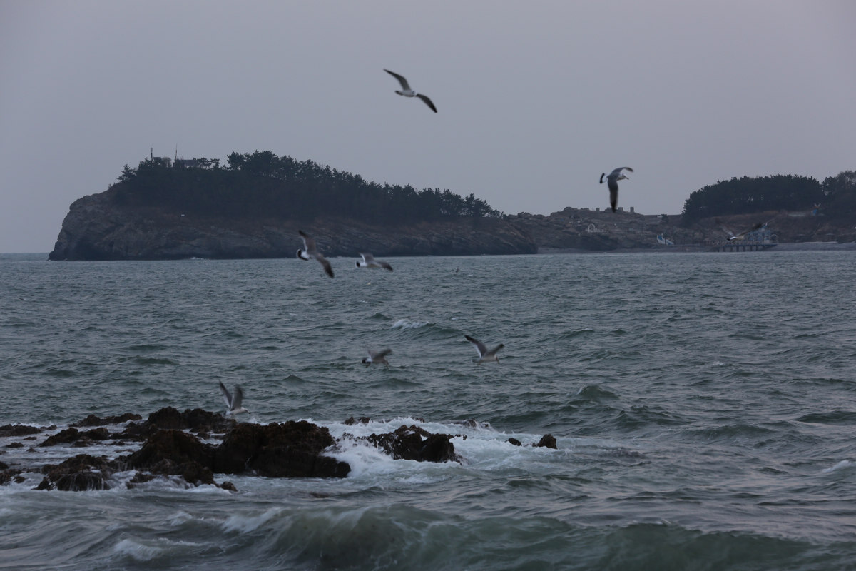 ׯŸF9S1/40ISO400200mmعⲹ-0.3ģʽM