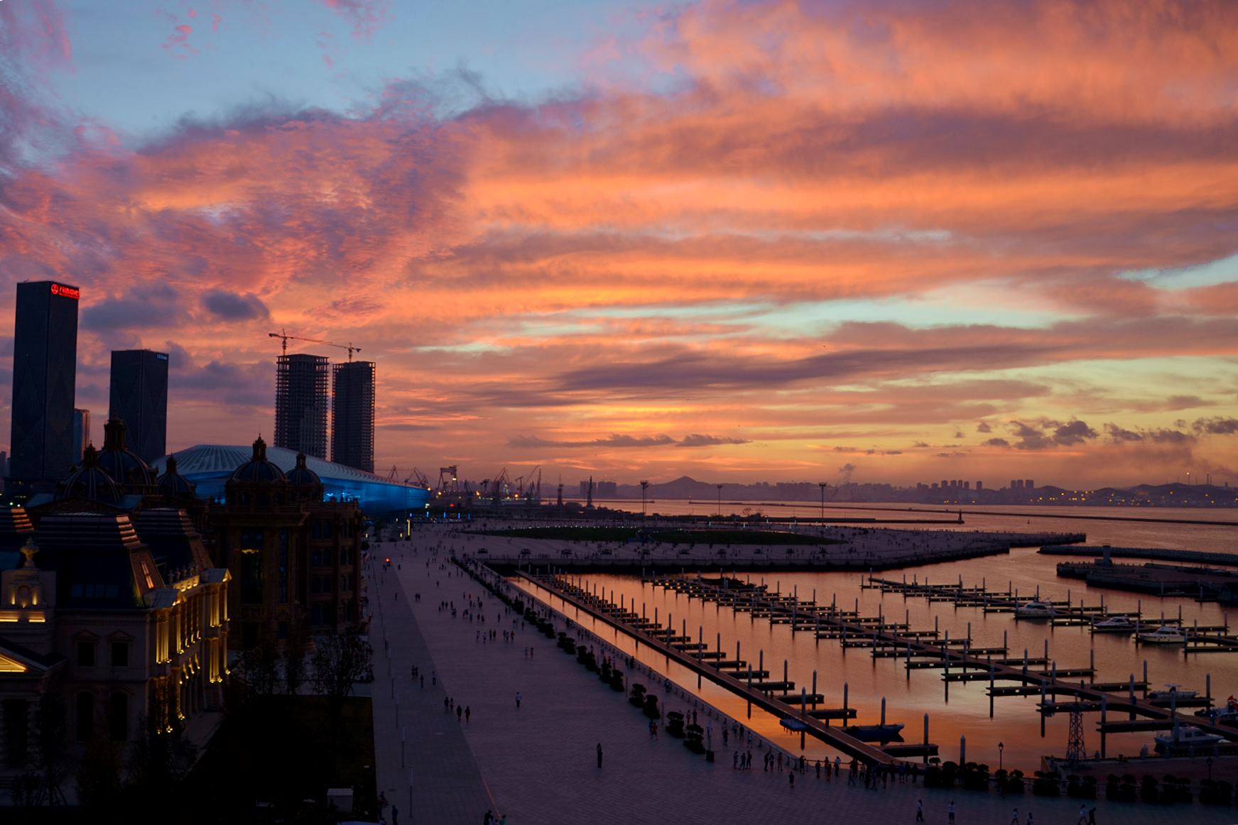 DSC_8677_1.jpg