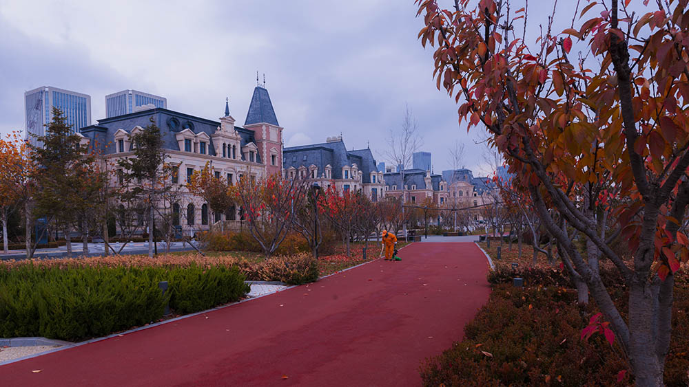 DSC_7763.jpg