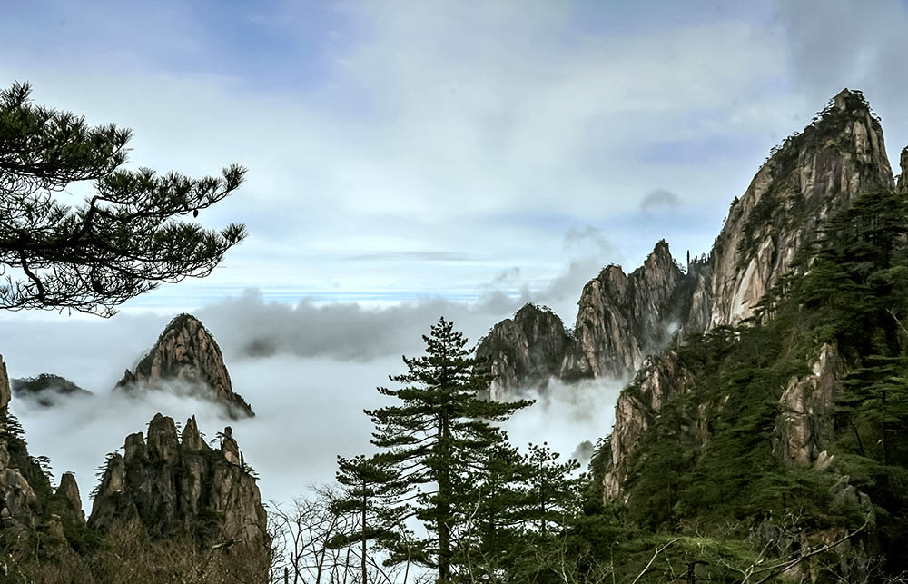 DSC_3012.jpg