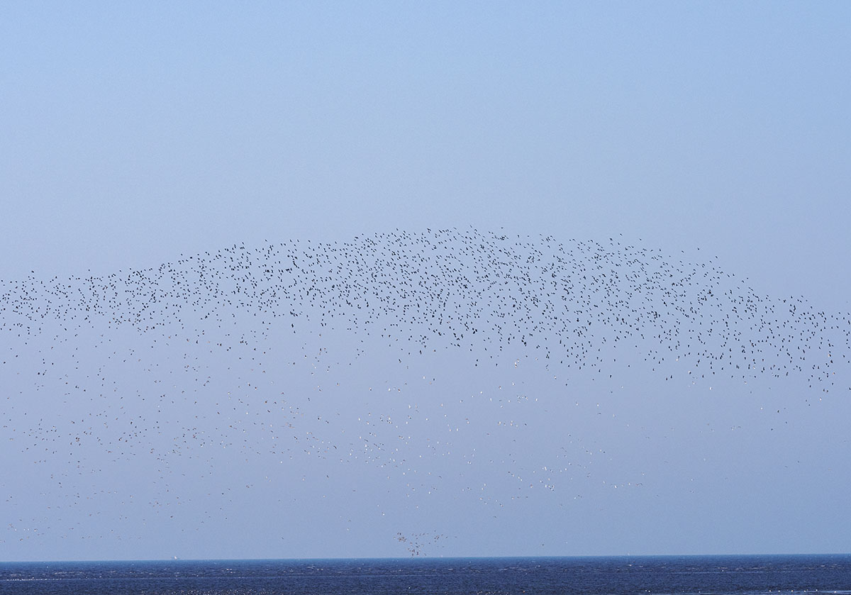 _DSC7552.jpg