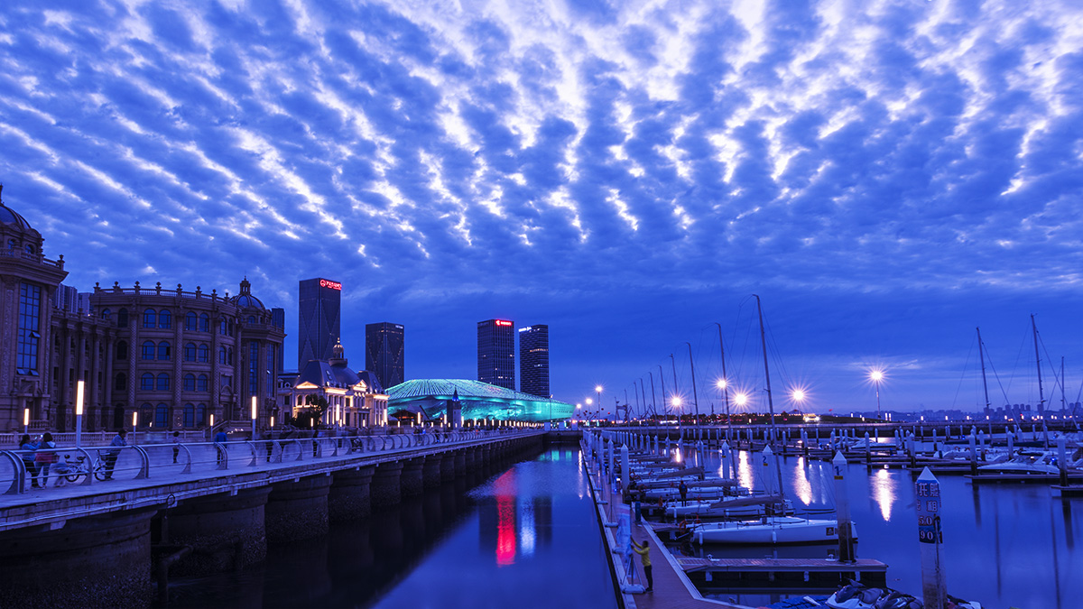 DSC_6946-1.jpg