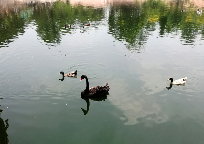 IMG_20180628_112055.jpg