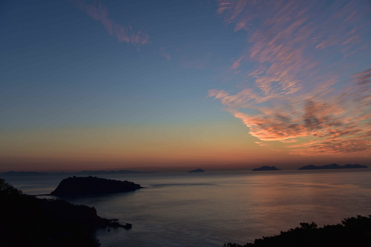 DSC_3892_.jpg--2.jpg--3.jpg
