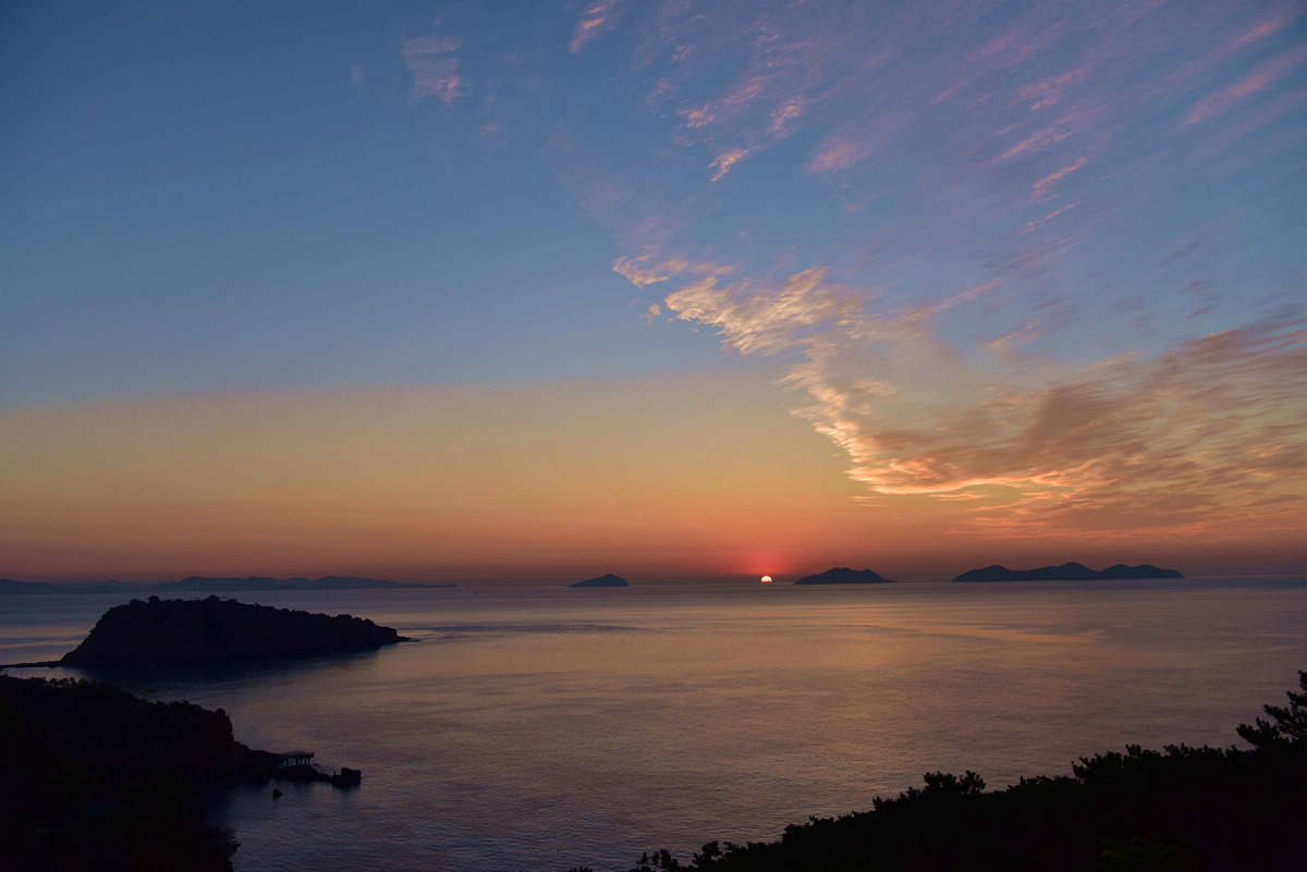 DSC_3905_.jpg--2.jpg--3.jpg