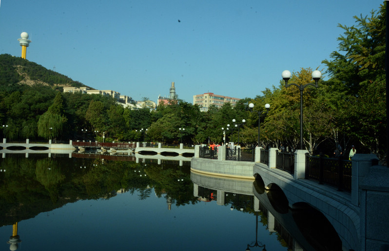 DSC_6177.jpg