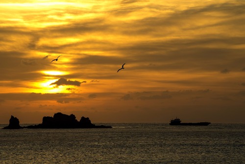 _DSC9448.jpg1.jpg