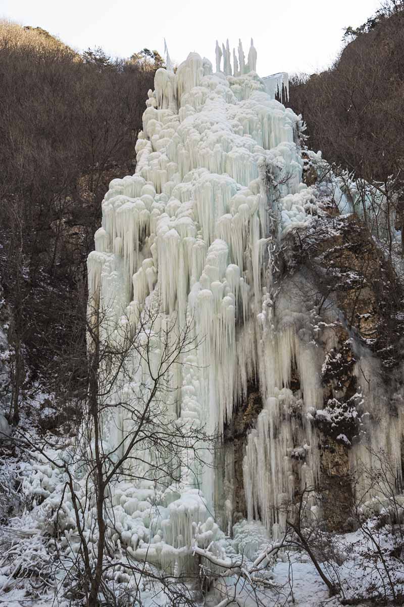 _DSC9399.jpg