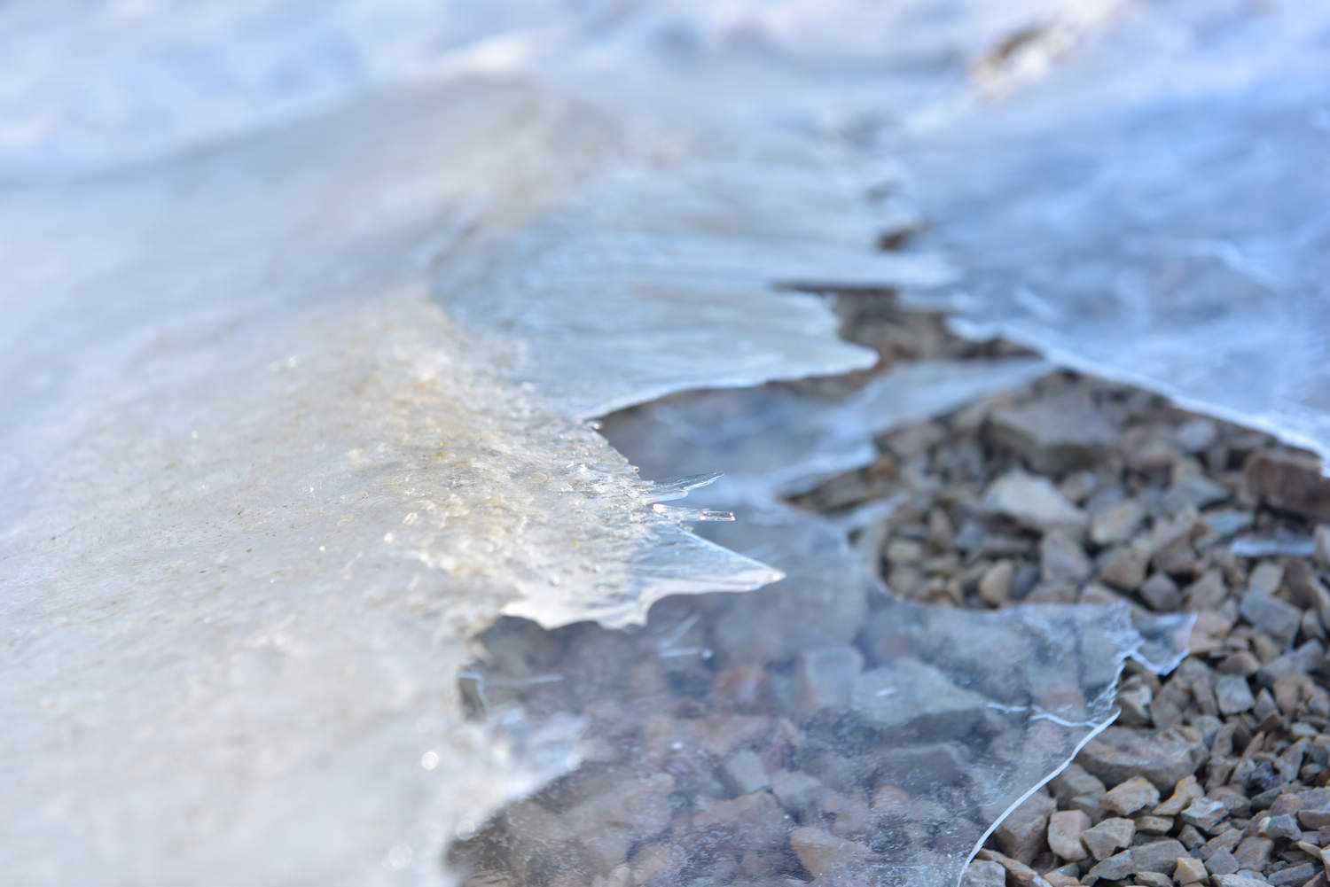 DSC_4475.jpg