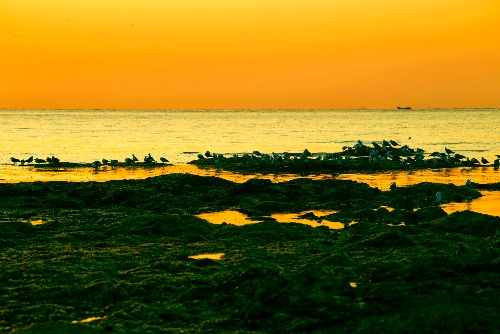 _DSC1546-01.jpeg