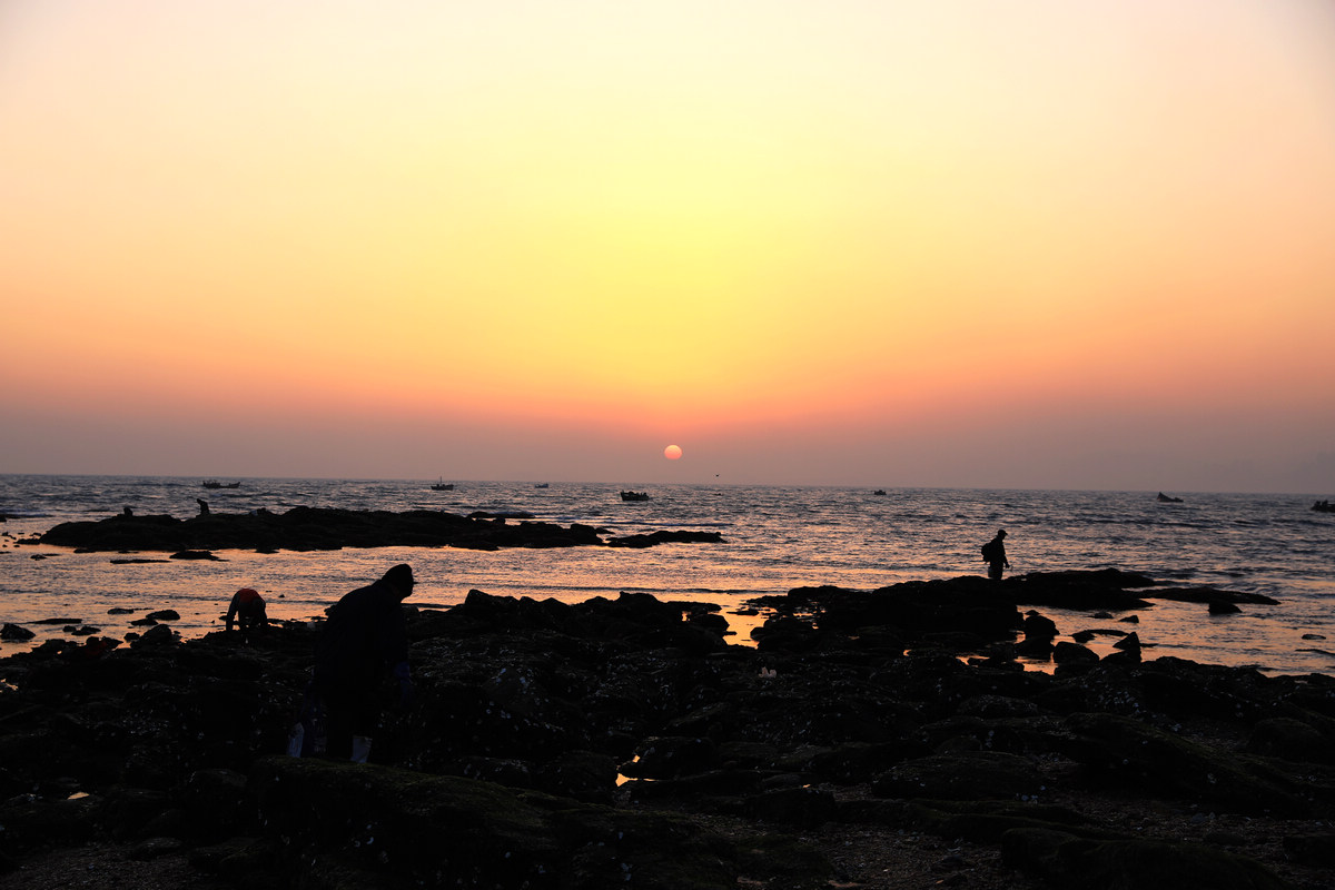 ����ׯ20190122����.jpg
