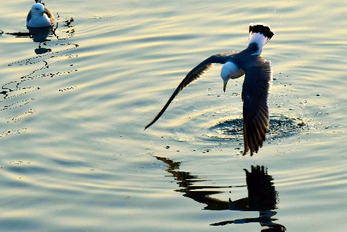 _DSC2549_o,.jpg2.jpg