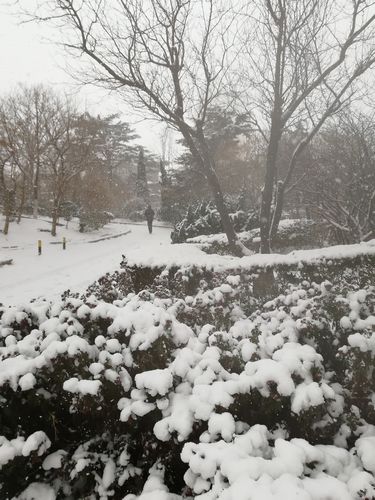 IMG_20181208_111256  1.jpg