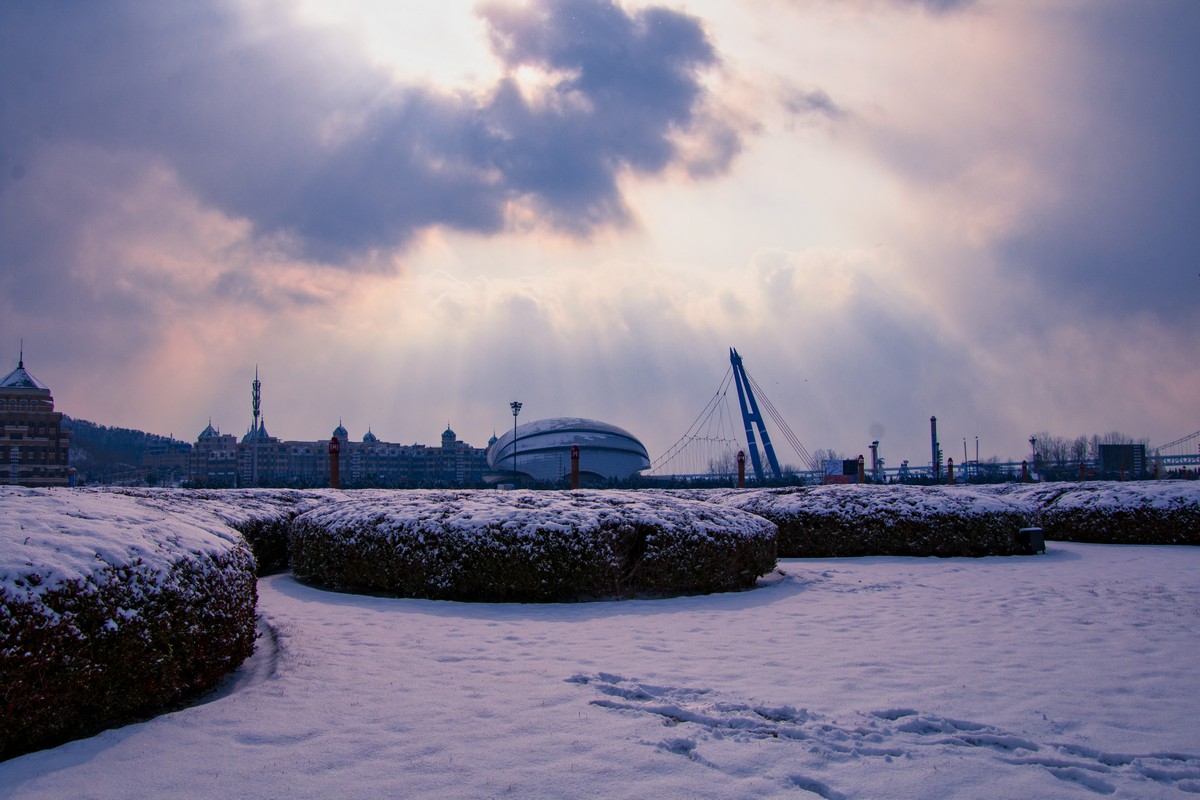 _MG_9894.jpg