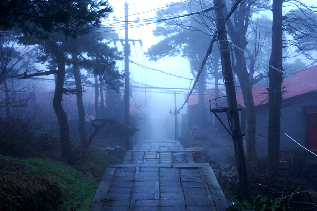 DSC08827_A.jpg