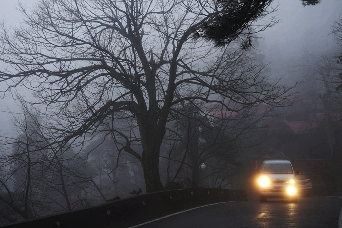 DSC08844_A.jpg