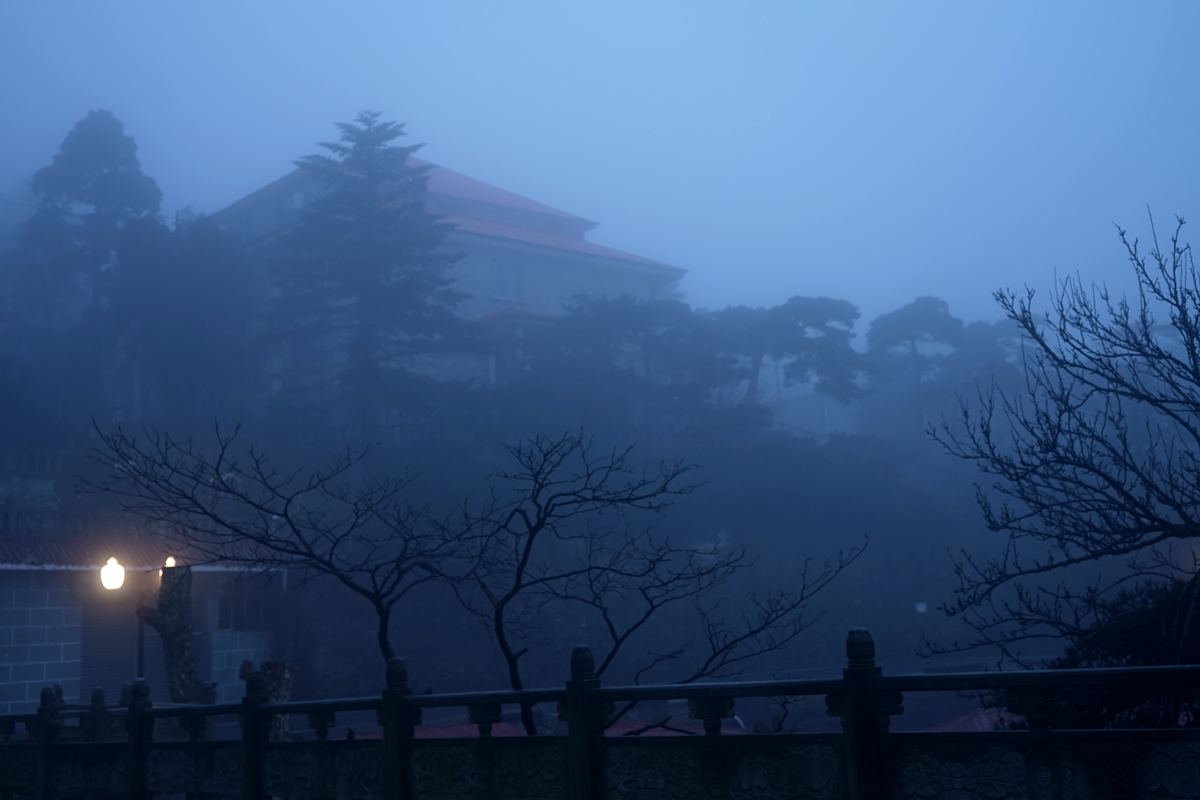 DSC08820_A.jpg