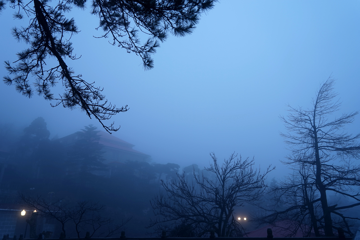 DSC08821_A.jpg