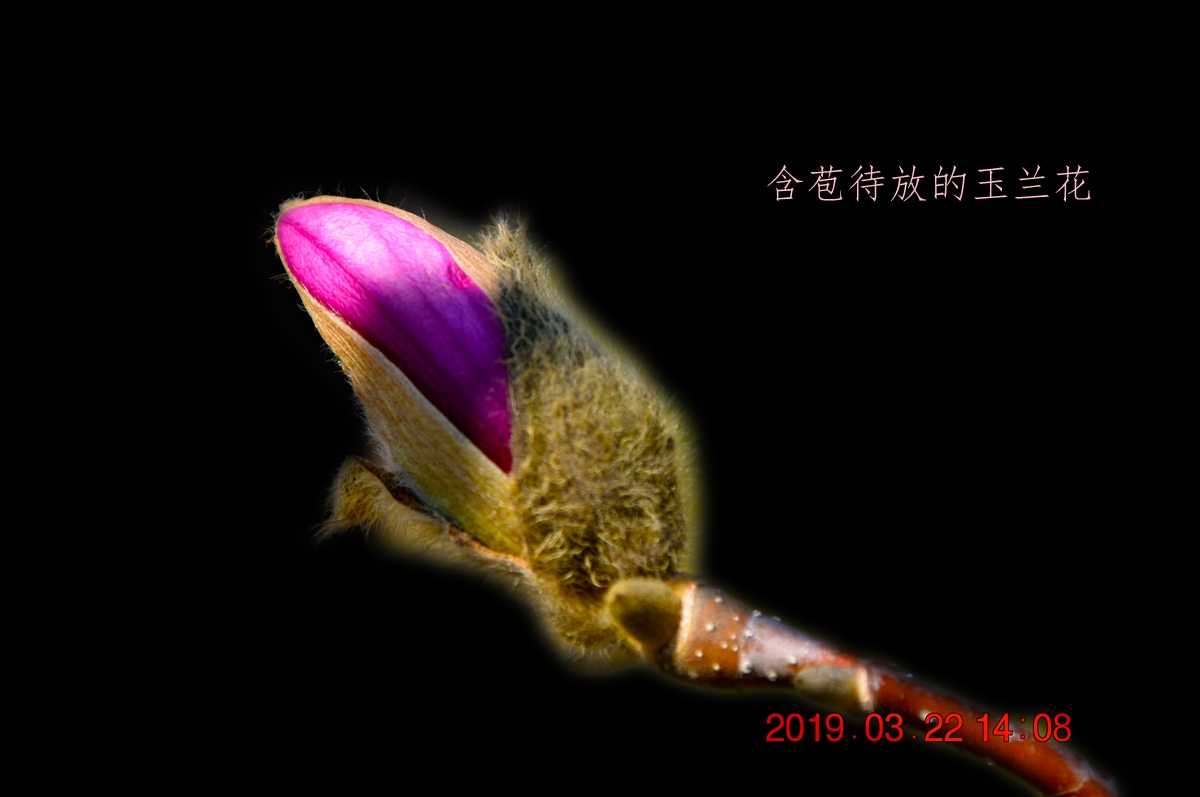 DSC_0104A.jpg