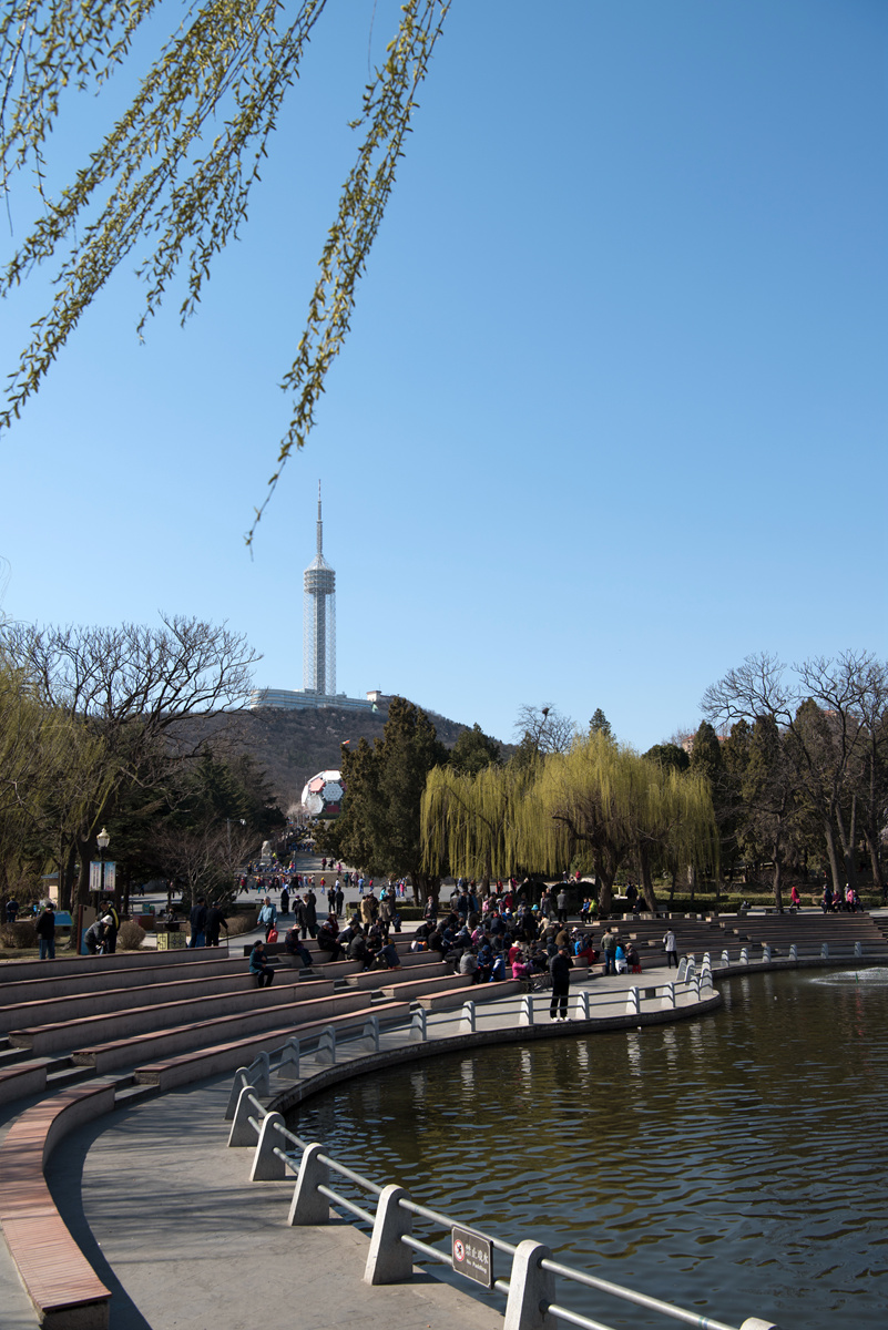 _DSC6611_.jpg
