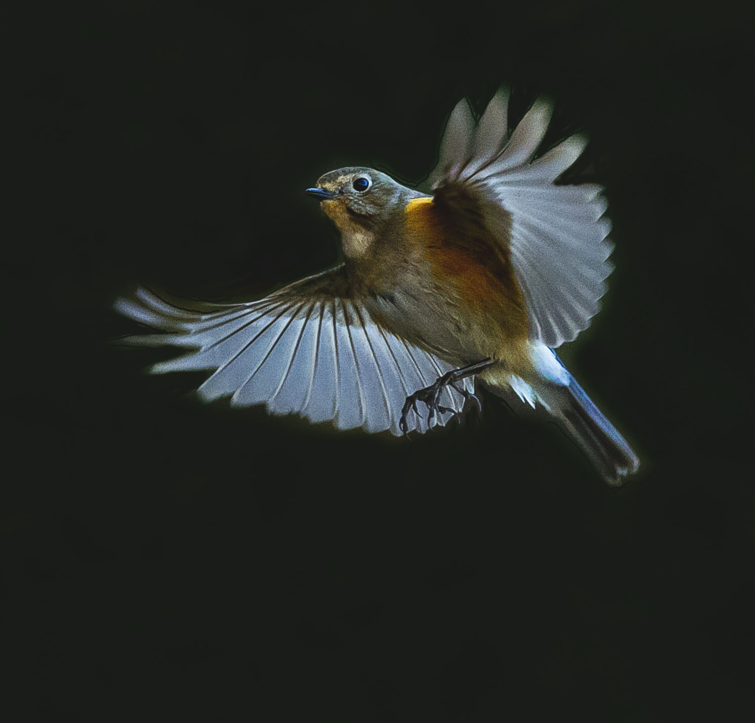 aaa_F3P4052.jpg