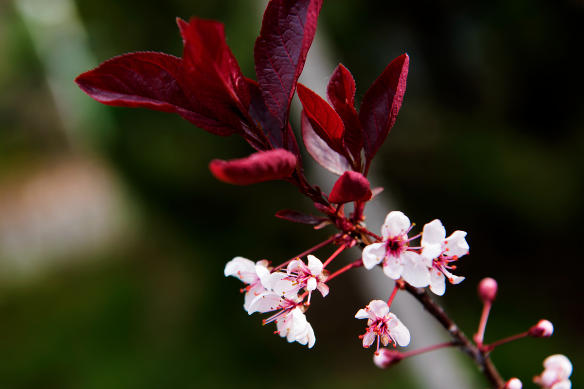 _DSC7820_.jpg