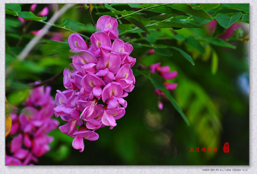 DSC_0779.jpg