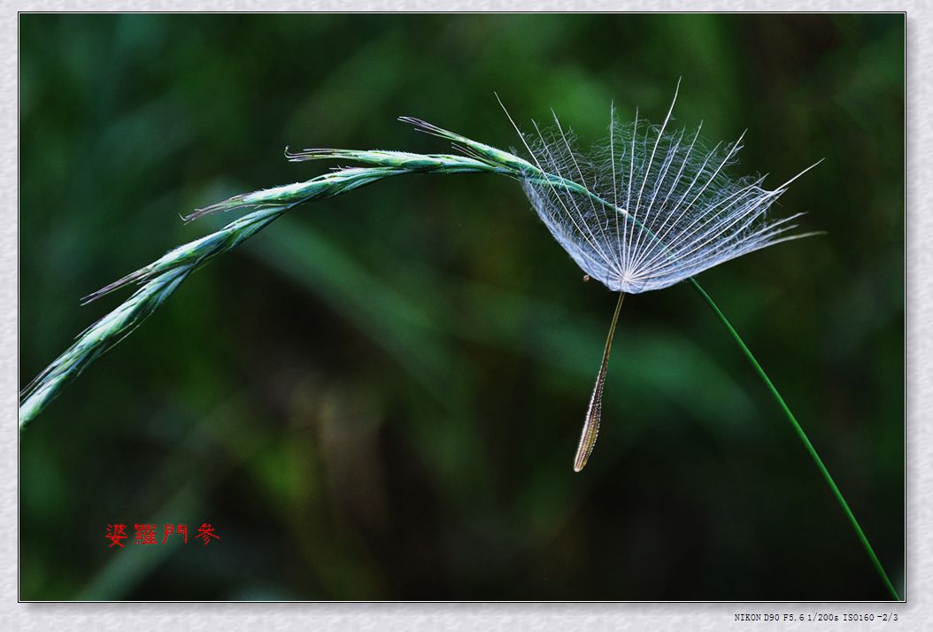 DSC_0519.jpg
