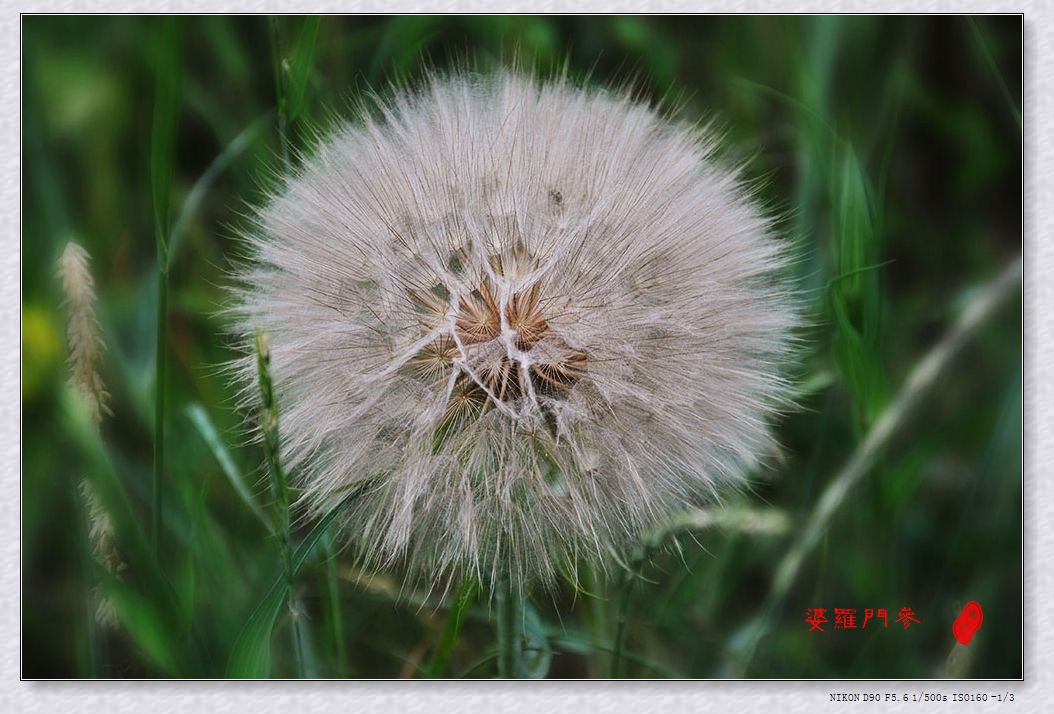 DSC_0538.jpg