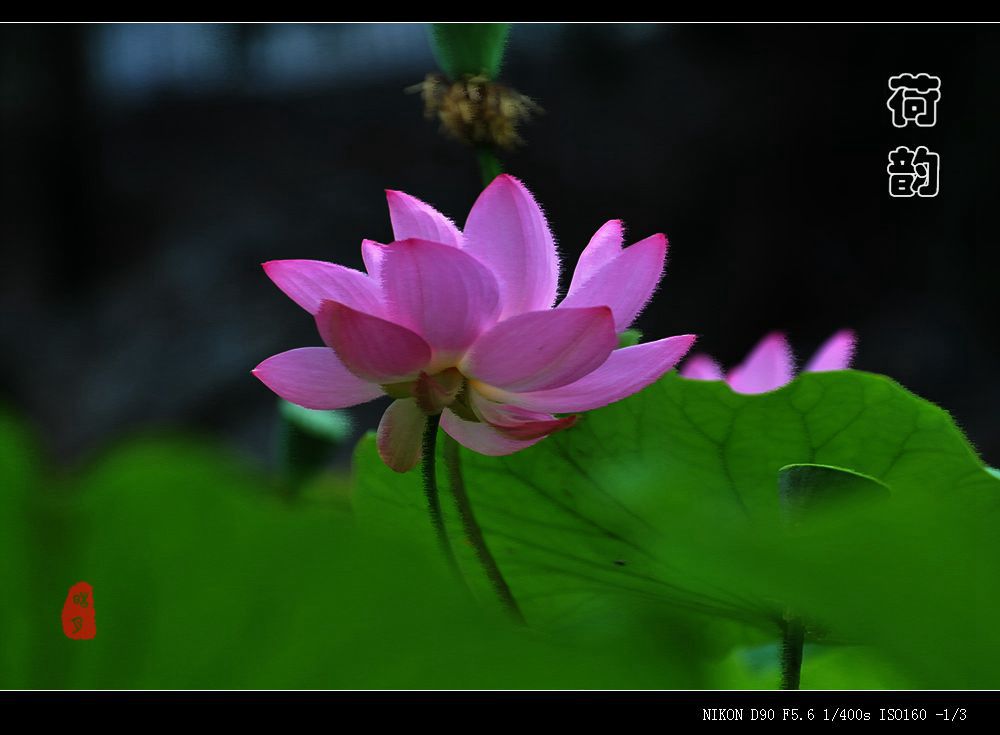 DSC_0151.jpg
