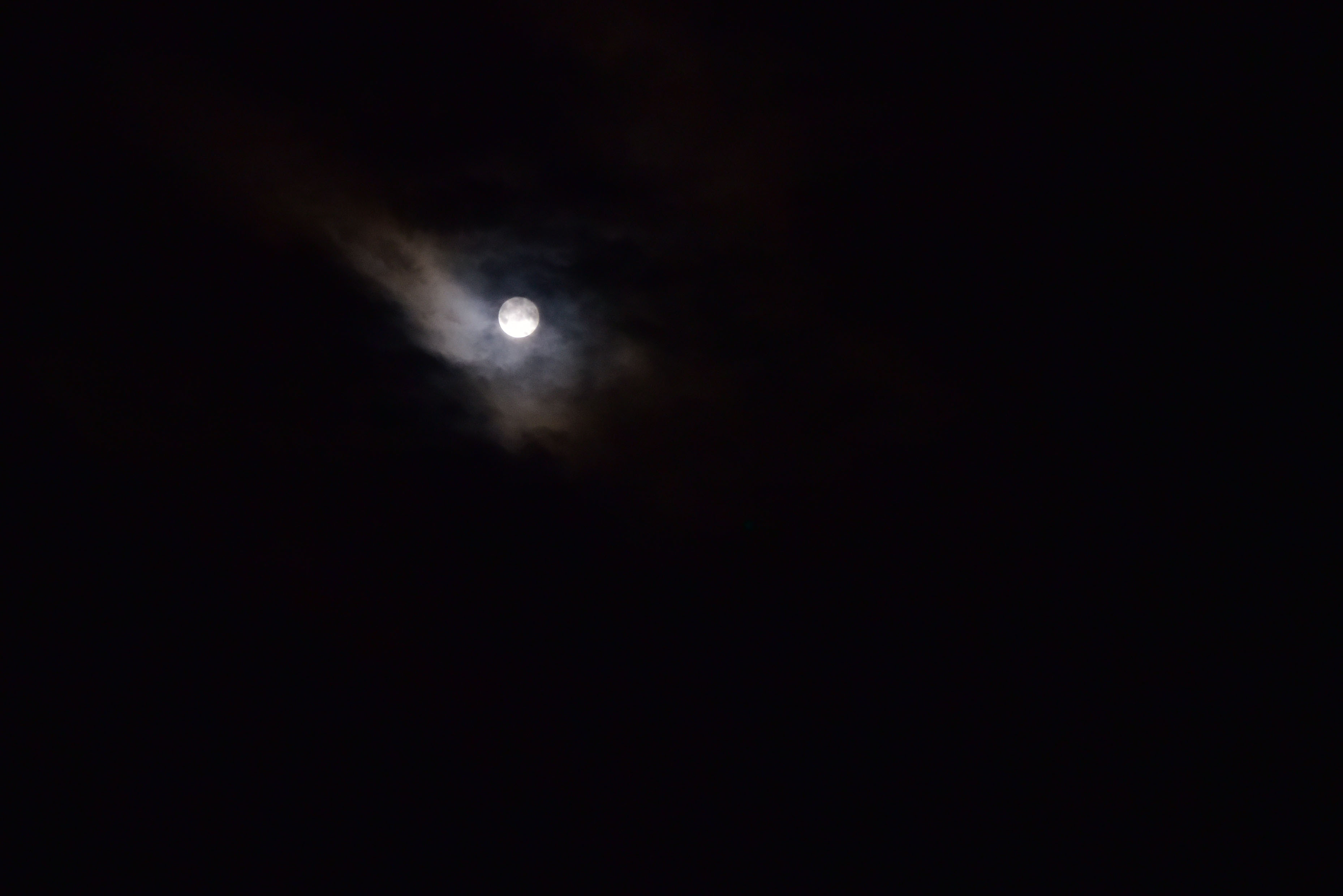 DSC_6364.JPG