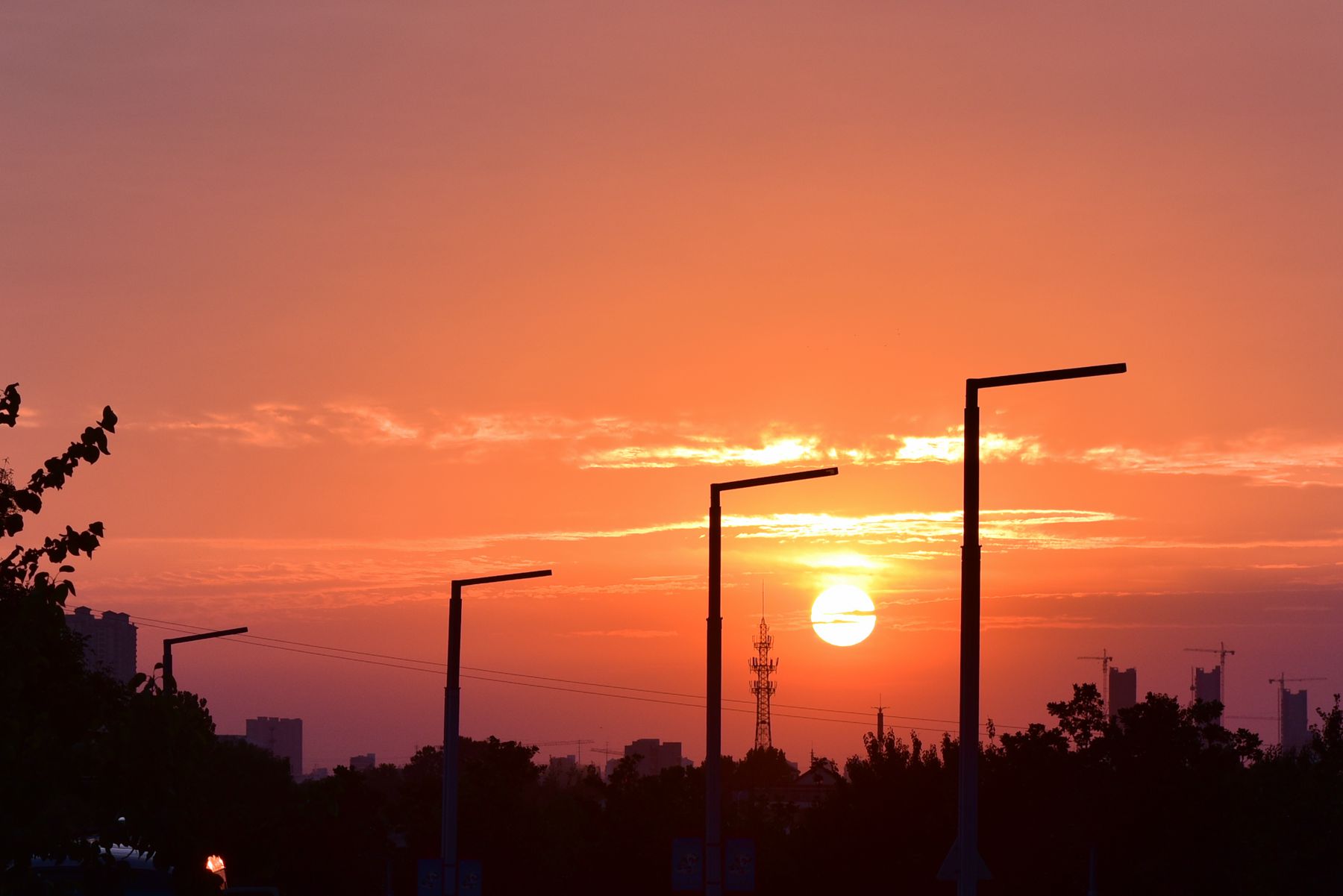 DSC_6788.jpg