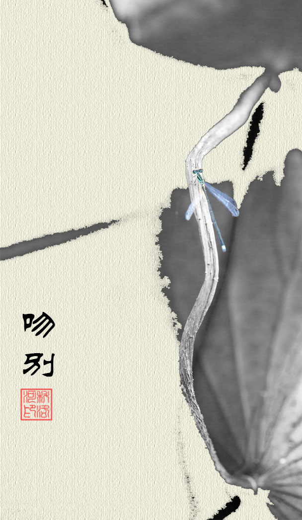 кɣҵ.jpg