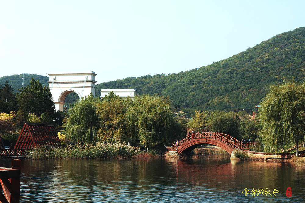 161A6479.jpg