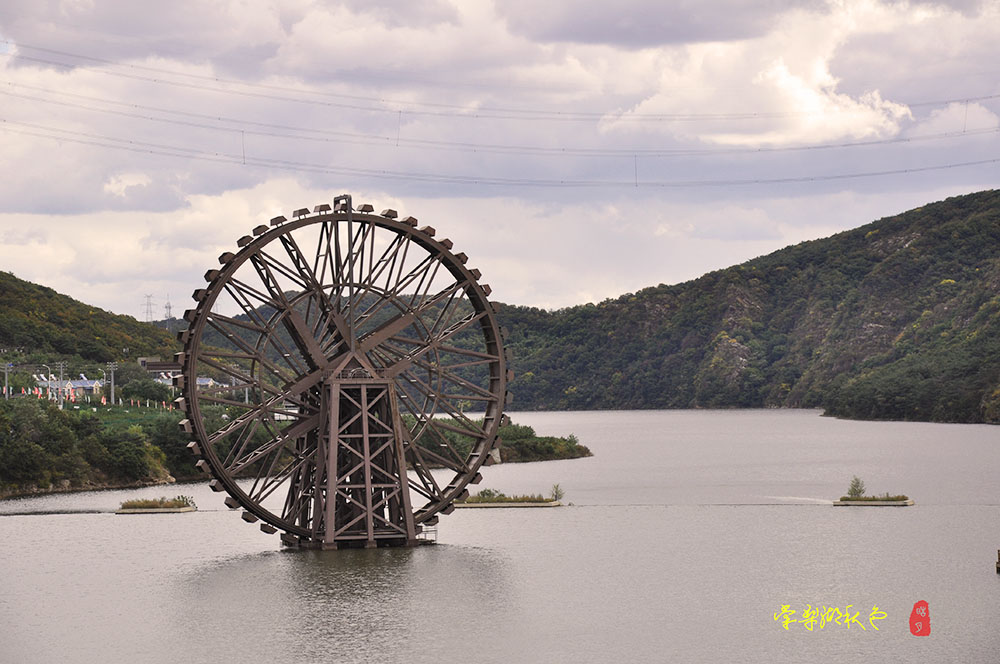 DSC_5660.jpg