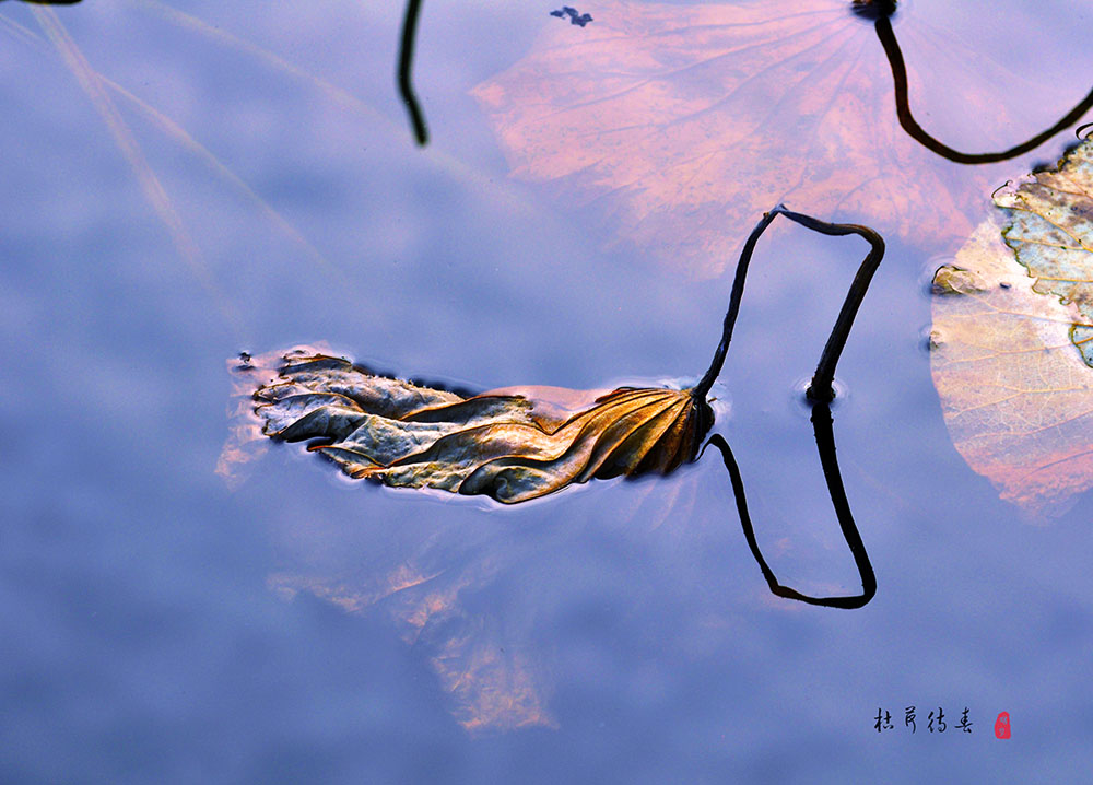 DSC_0682.jpg