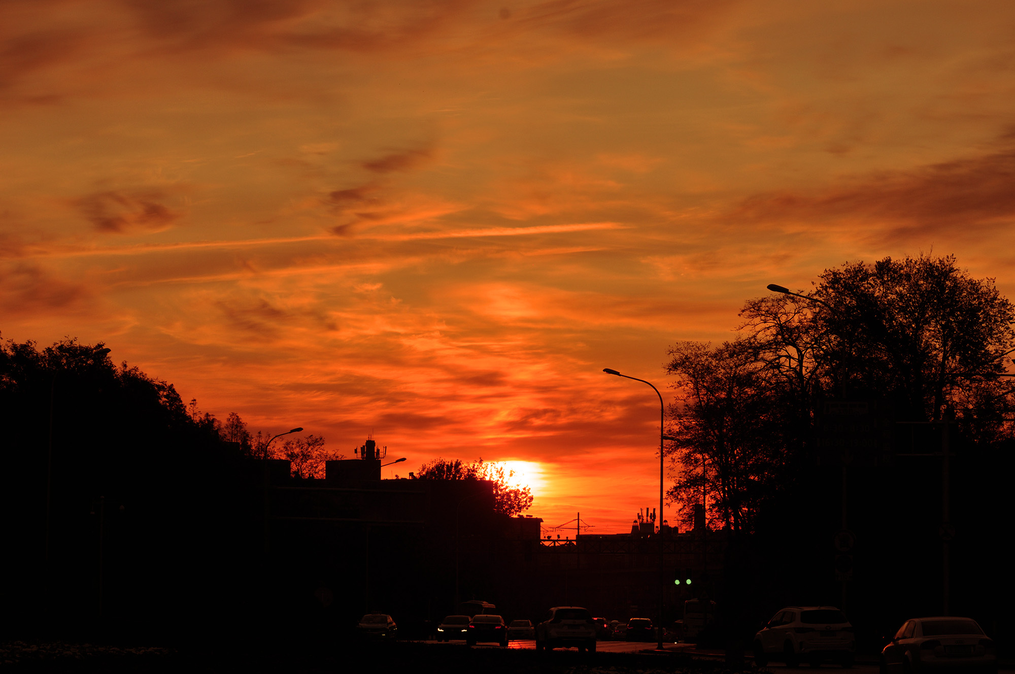 DSC_1104.jpg