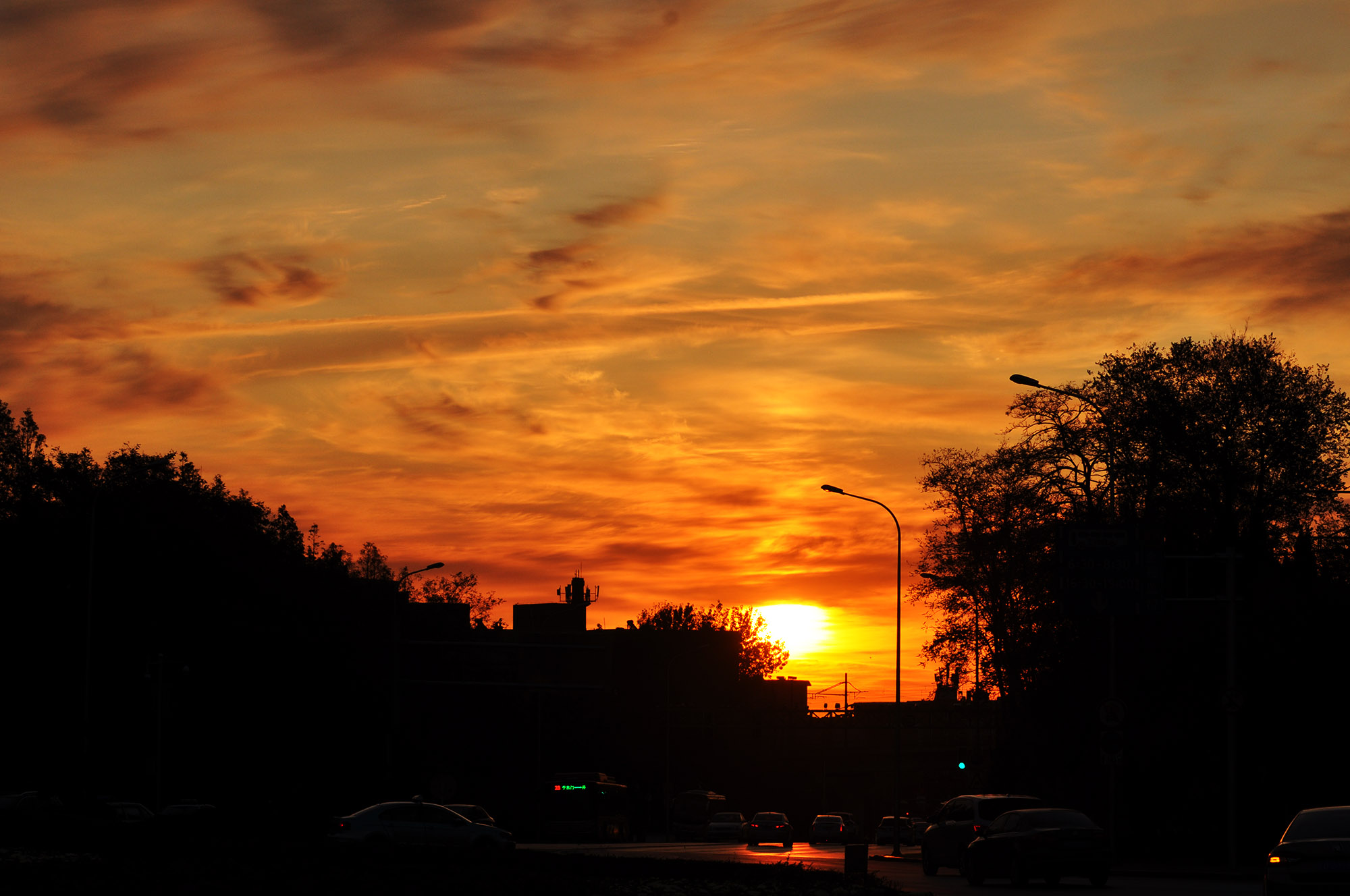 DSC_1105.jpg