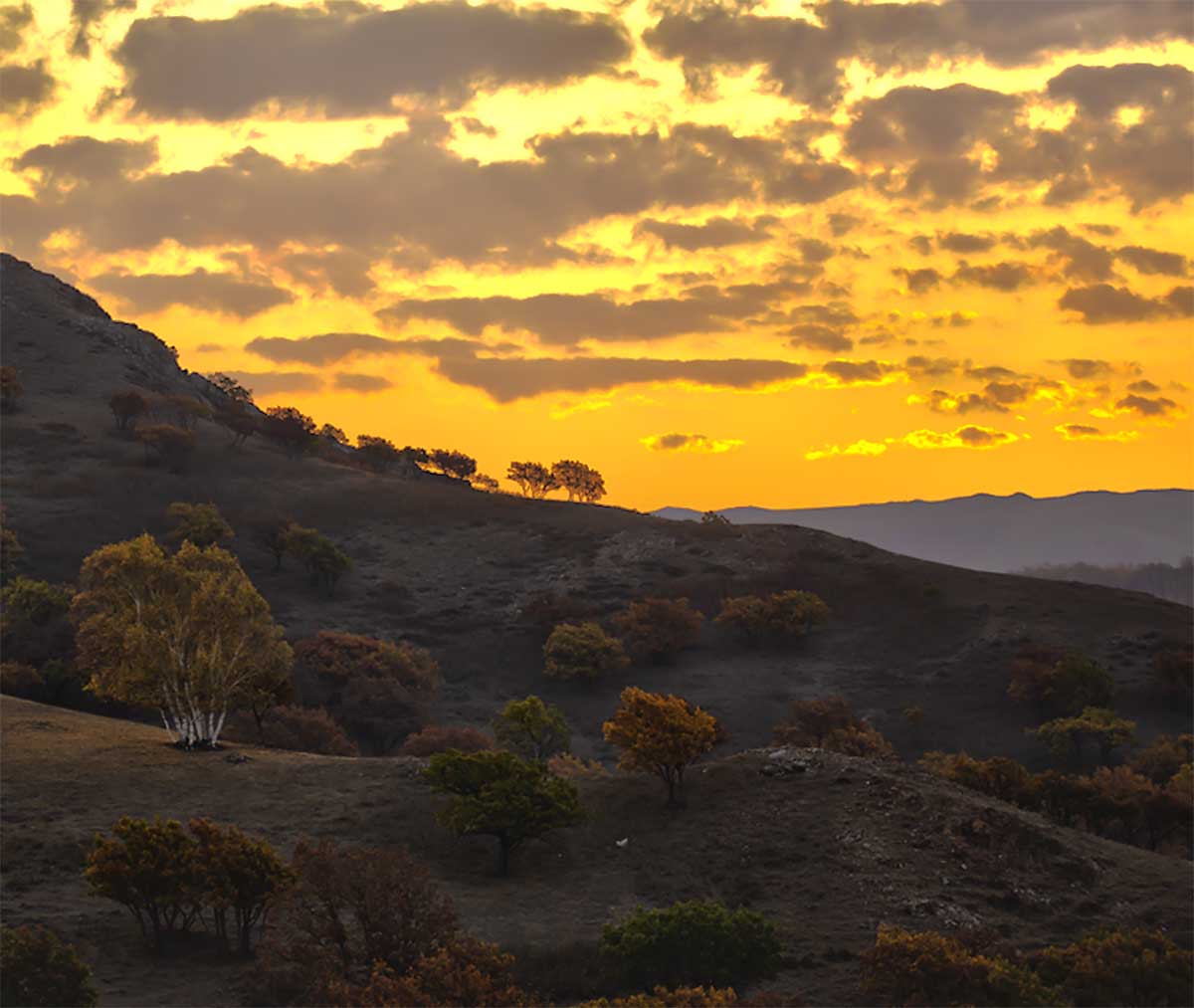ޱ_HDR2.tifԶ .jpg