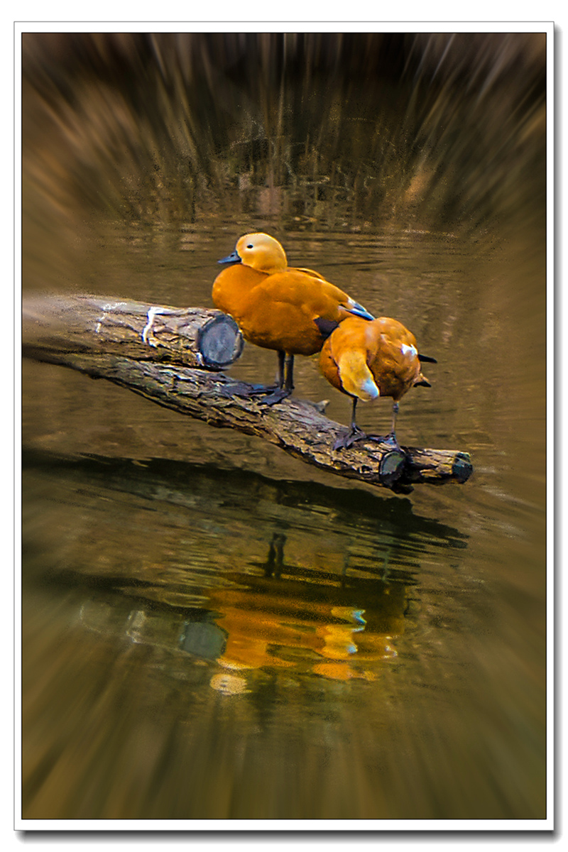 DSC00150_.jpg
