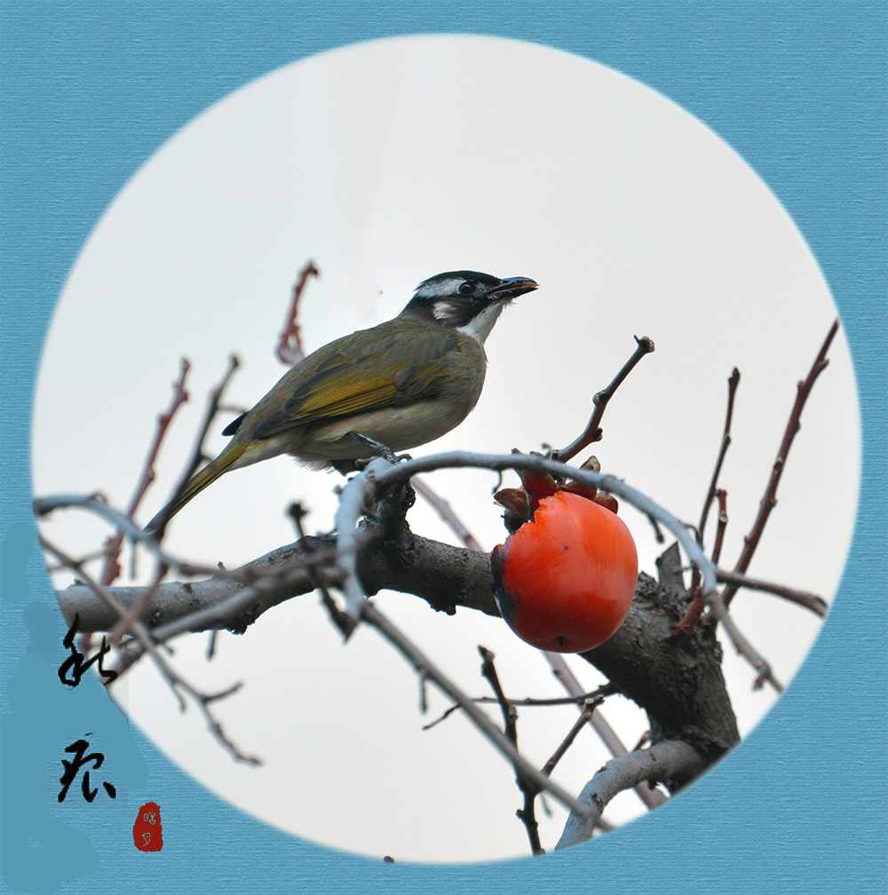 һƷ
