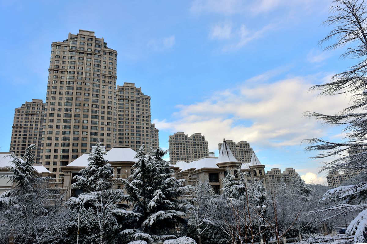 DSC_0032 .jpg