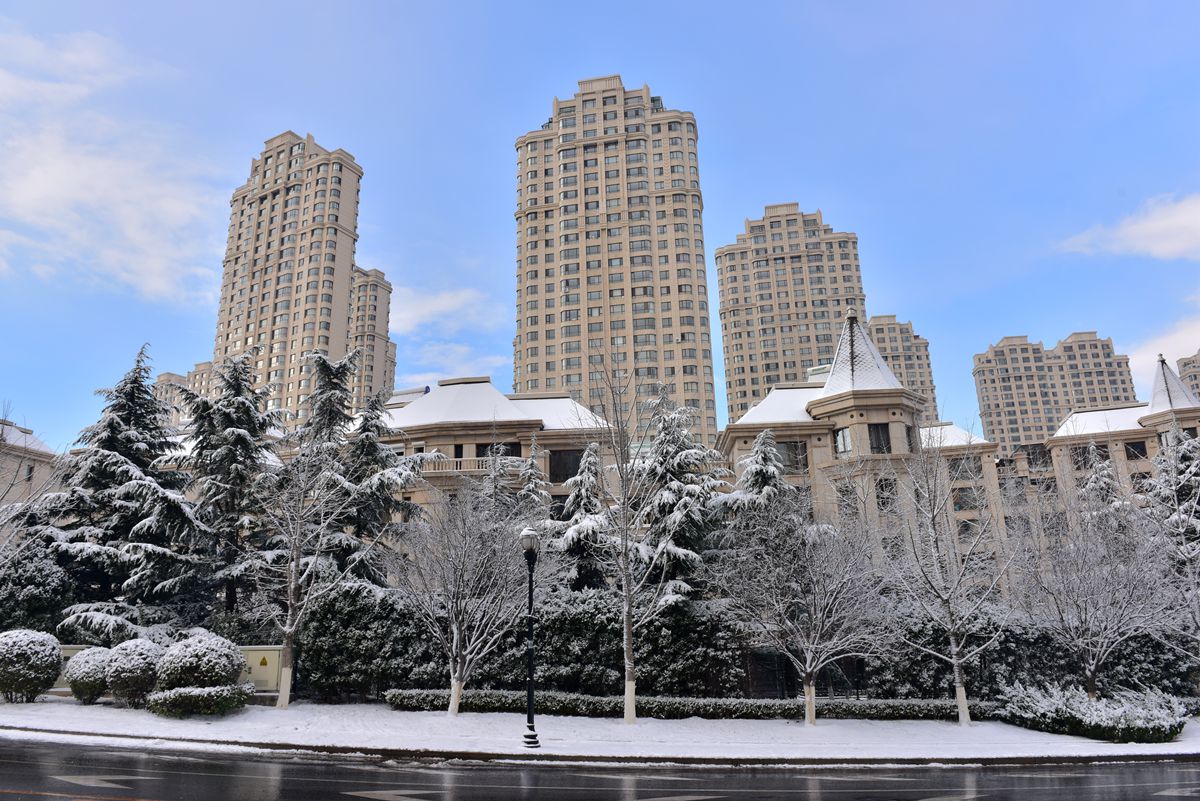 DSC_0050.jpg