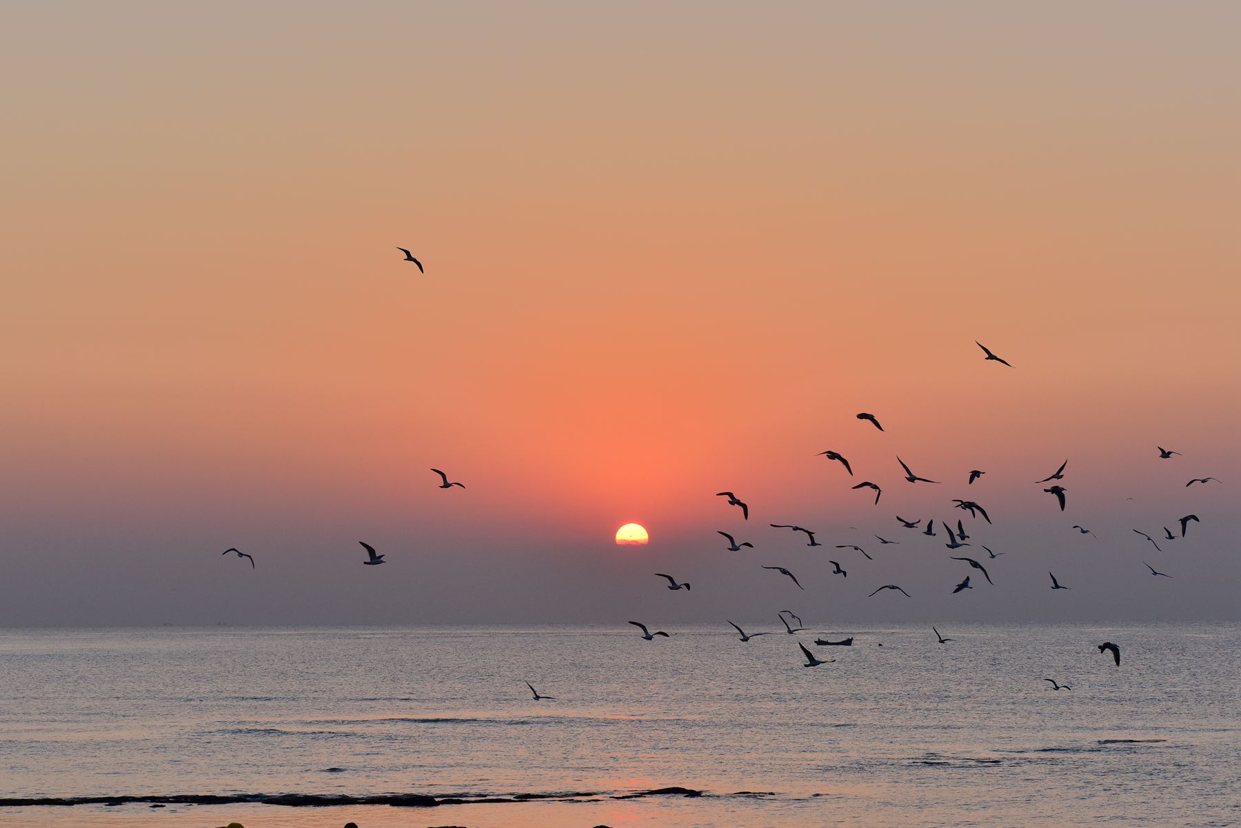 DSC_0550_.jpg