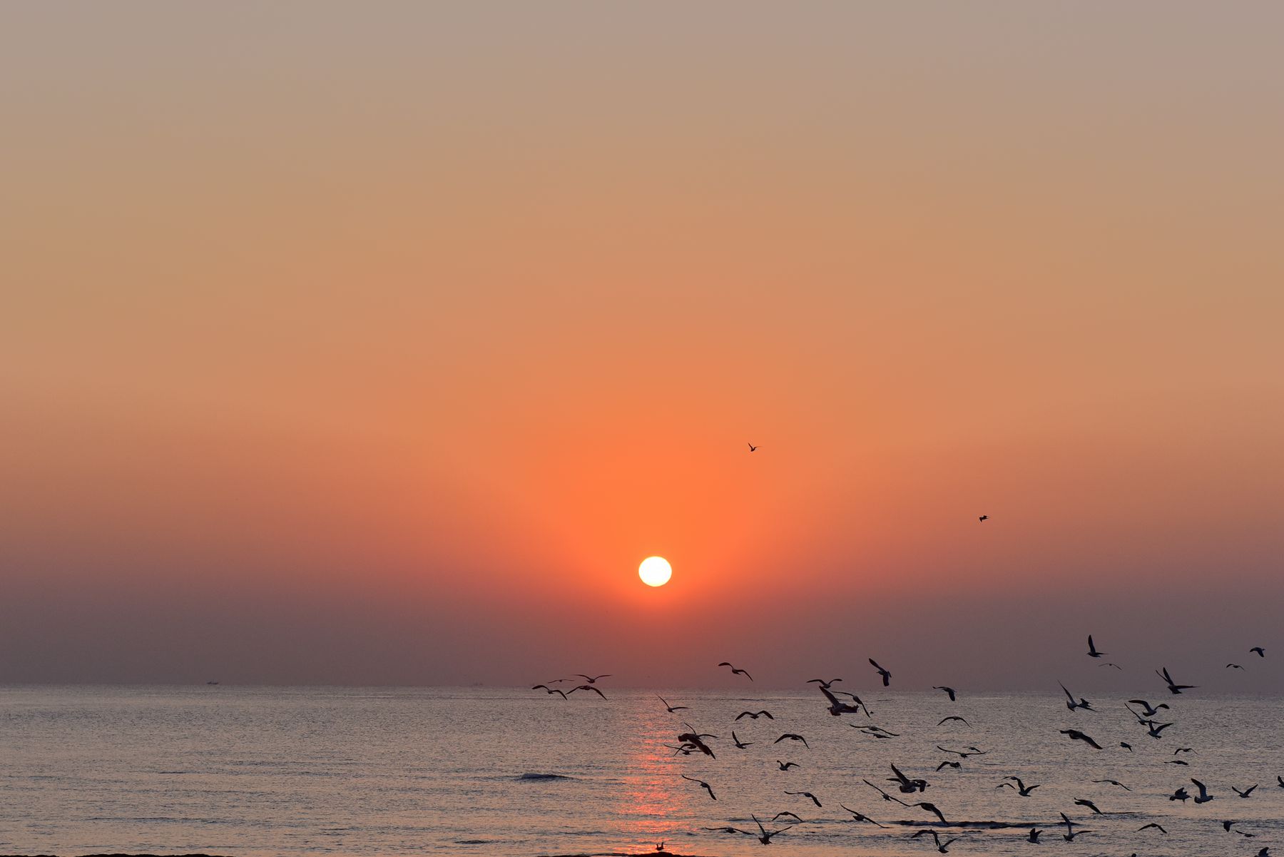 DSC_0638_.jpg