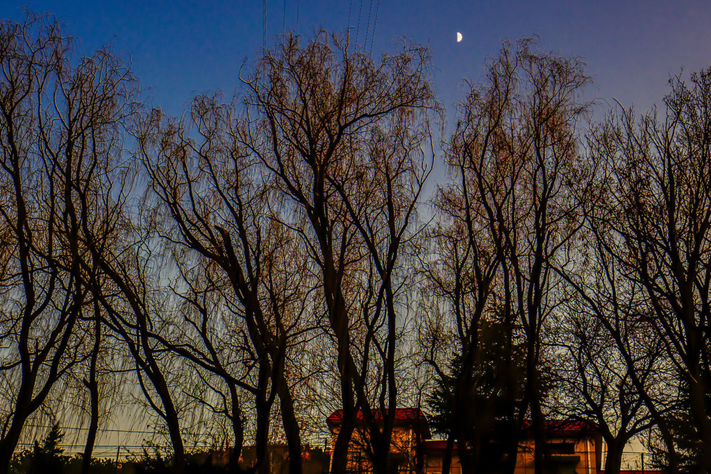 DSC01277_.jpg