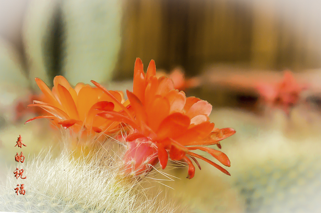 L1050727_.jpg